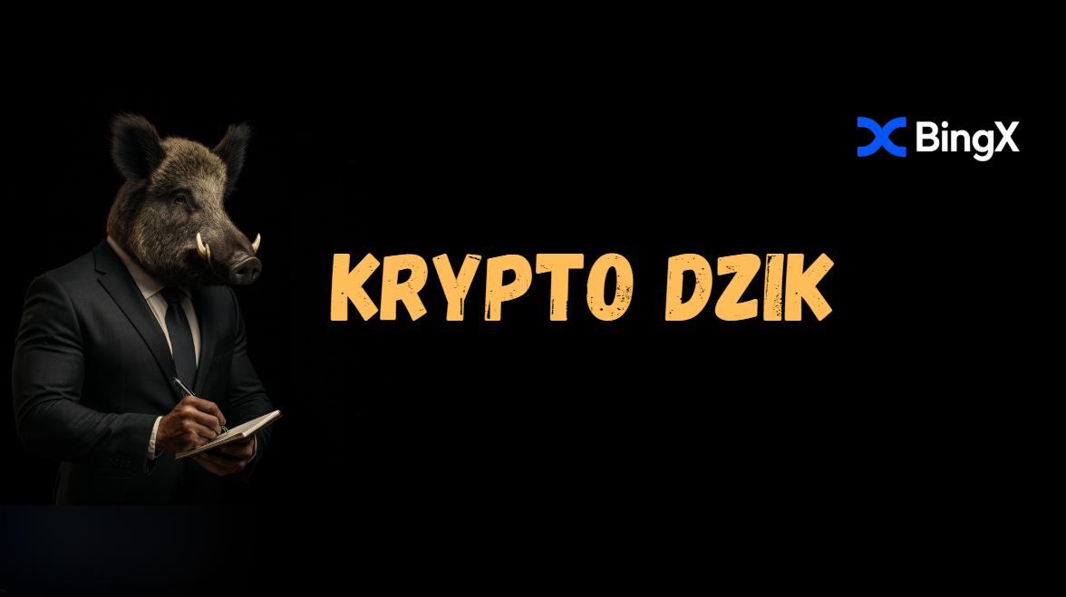 Discovery splash banner for Społeczność Krypto Dzika Discord server