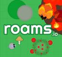 Discovery splash banner for Roams.io Discord server