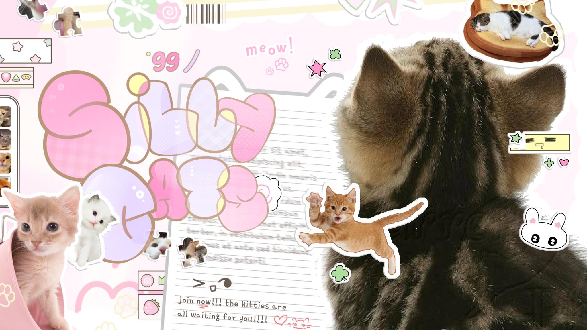 Discovery splash banner for cat piss aka' /sillycats 🎀 Discord server