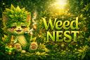 Discovery splash banner for 🌿 Weed Nest 𖥸 Discord server
