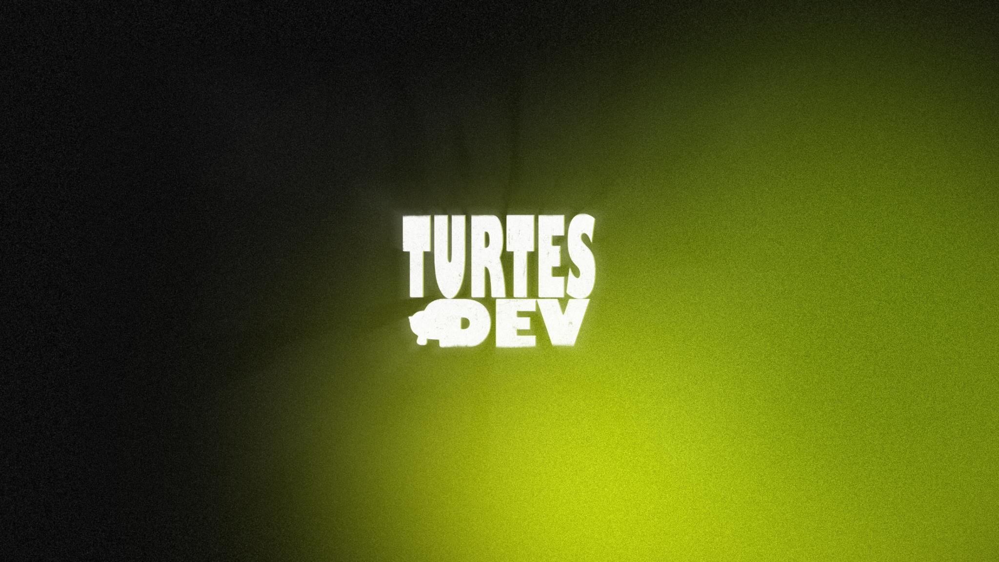 Discovery splash banner for Turtes Turf Discord server