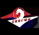 Discovery splash banner for CBROWN Discord server