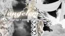 Discovery splash banner for angelcm | ANGL Tag | Nitro Giveaways | discord.gg/hyrp ๐ Discord server