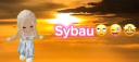 Discovery splash banner for niszowa spolecznosc misiakuw sigmy πΏπ§Έ Discord server