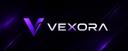 Discovery splash banner for Vexora - Twoje Community Minecraft Discord server