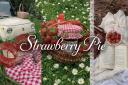 Discovery splash banner for ୧🍓 Strαɯberrч Pıe ݁₊ ⟡ socıαlㆍgαming Discord server
