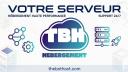 Discovery splash banner for TheBotHost Discord server