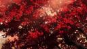 Discovery splash banner for /blinked | Social・VC • SFW • Gwys・Gaming・Chill・Active • Events Discord server