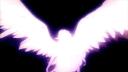 Discovery splash banner for Core Leaks | #1 narkopriton Discord server