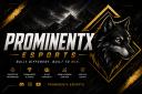 Discovery splash banner for PROMINENT-X E-SPORTS Discord server