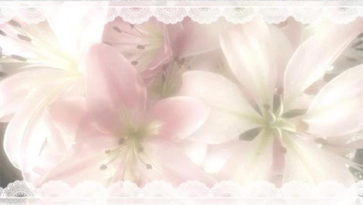 Discovery splash banner for ׅ ꒰ ࣪ bli𝓈sies d𝓉i ̣̣̥𓈒ִ݁ Discord server