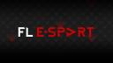 Discovery splash banner for FL E-sport Discord server