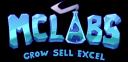 Discovery splash banner for MCLabs Official Discord server