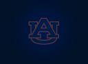 Discovery splash banner for Auburn Tigers Discord server