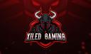 Discovery splash banner for Xiled Gaming Discord server