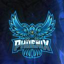 Discovery splash banner for PHOENIX Discord server