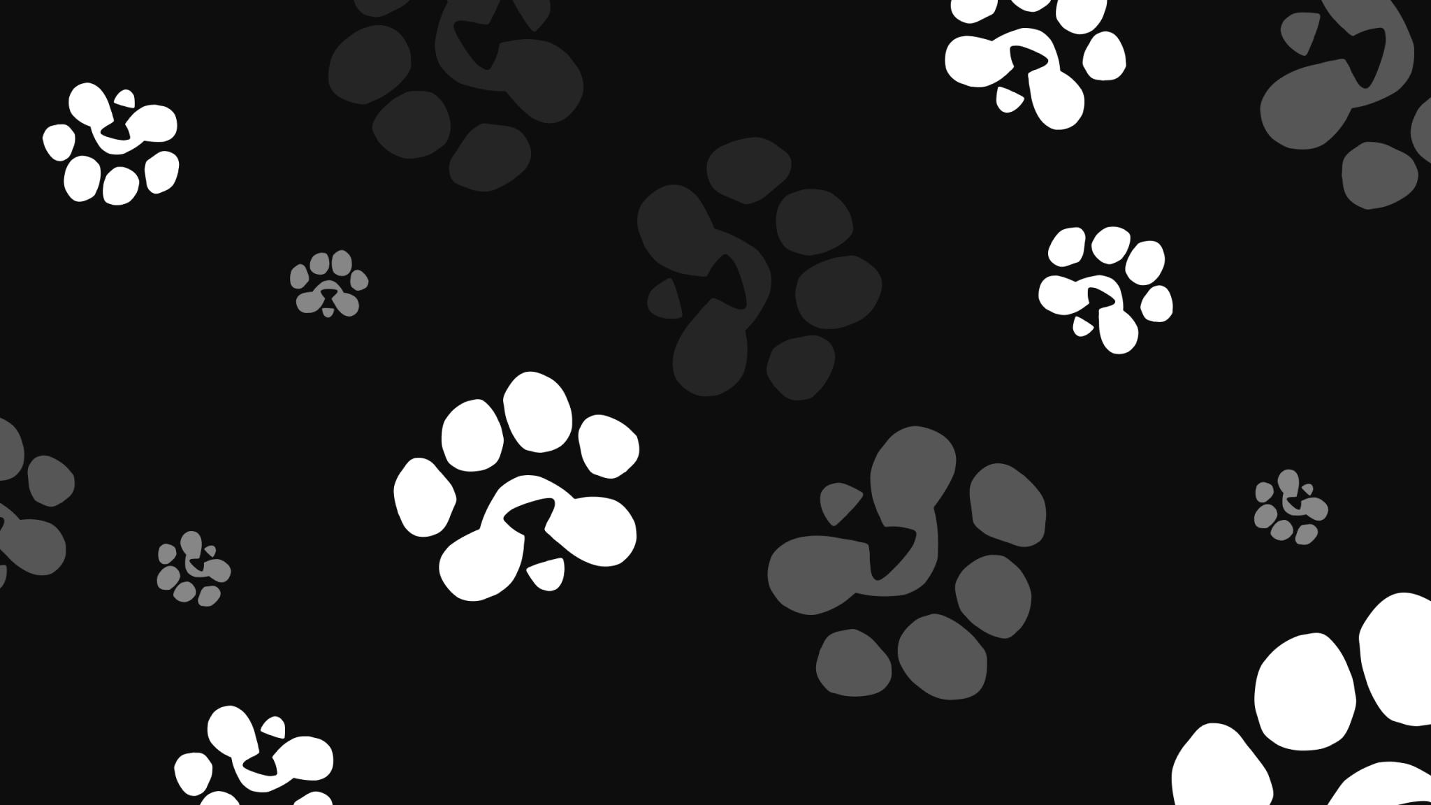 Discovery splash banner for PAWS Up Labs Discord server