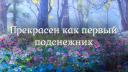 Discovery splash banner for 🌷┆Т&Д – Игры и общение Discord server