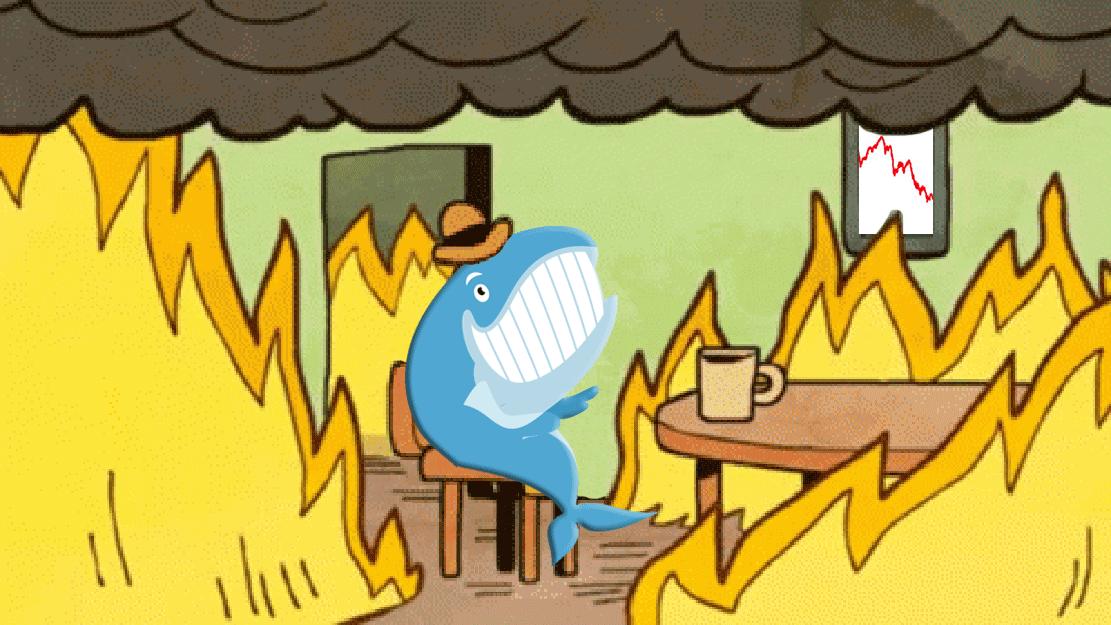 Discovery splash banner for Unusual Whales Discord server