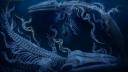Discovery splash banner for Sleep Token Discord server
