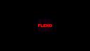 Discovery splash banner for FLEXO HANGOUT OFFICIAL Discord server