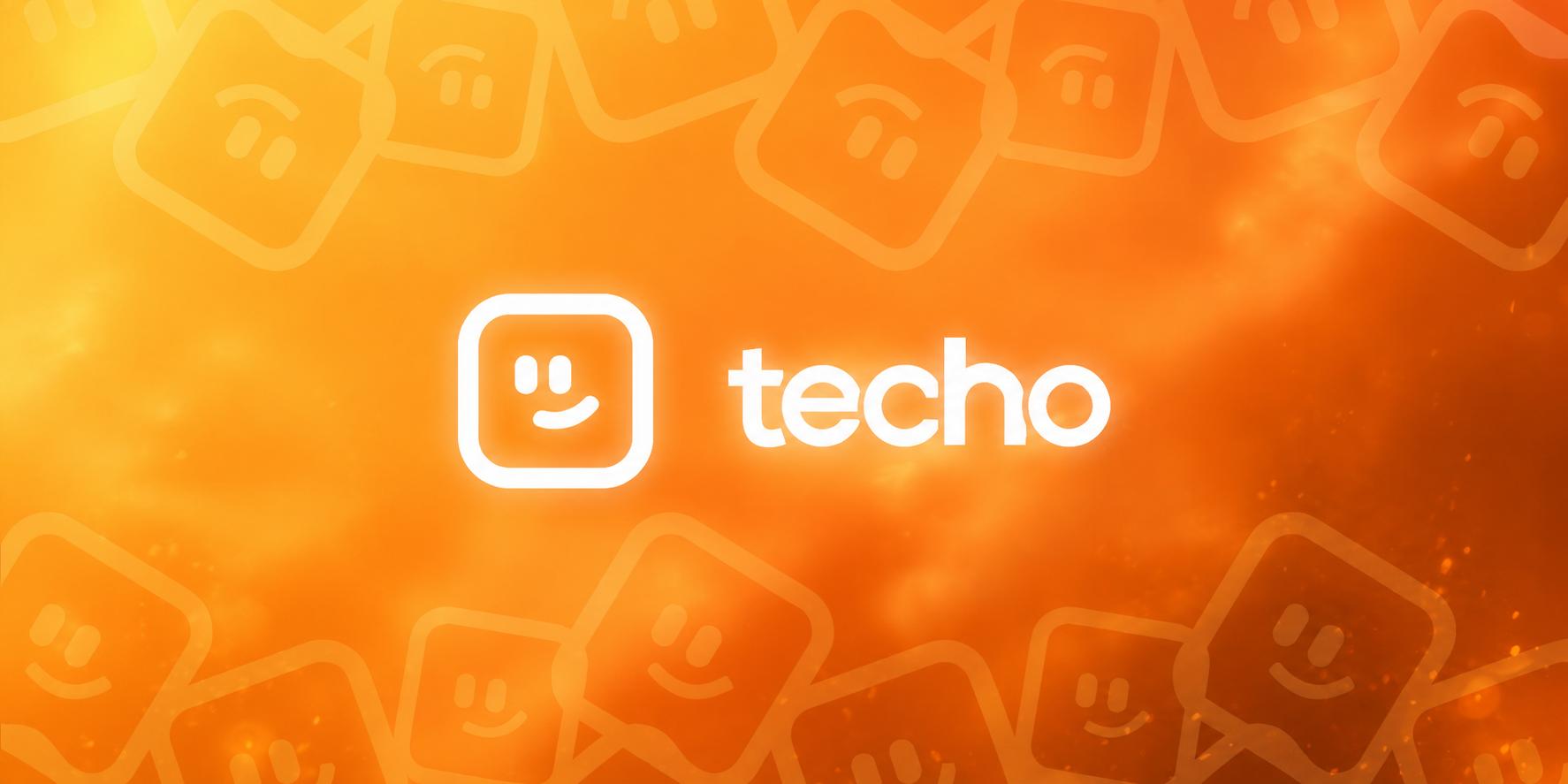 Discovery splash banner for Techo Inc Discord server