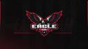 Discovery splash banner for Eagle Team E-Sports Discord server