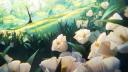 Discovery splash banner for ๐๐๐๐๐๐๐ ๐๐๐ ๐๐๐๐๐ ๐๐๐๐ Discord server