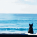 Discovery icon for Sailors ‹3 | fun . sfw . active . social . music . games Discord server