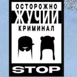 Discovery icon for жучий криминал Discord server