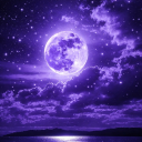 Discovery icon for 🌙 ᯓ Midnight Blessing ✦ ִ ֶ֢࣪⋆ Discord server