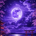 Discovery icon for 🌙 ᯓ 𝑴𝒊𝒅𝒏𝒊𝒈𝒉𝒕 𝑩𝒍𝒆𝒔𝒔𝒊𝒏𝒈 ✦ ִ ֶ֢࣪⋆ — 🌸 HINA TAG Discord server