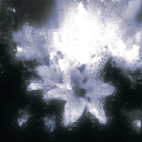 Discovery icon for Dusk Discord server
