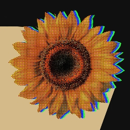 Discovery icon for 𝙿𝙷𝙲 𝙲𝚘𝚖𝚙𝚊𝚗𝚢 | 🌻 Discord server