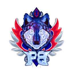 Discovery icon for Pepo Sp Black ⚽ Discord server