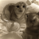 Discovery icon for Ask to dm đămourne ă»activeă»socială»giveawaysă»vcă»guildsă»sfw Discord server