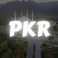 Discovery icon for PKR ™ | Community・Gaming・Social・Pfps・Gifs Discord server