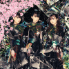 Discovery icon for BABYMETAL Discord server
