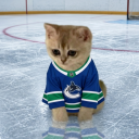 Discovery icon for Vancouver Canucks Discord server
