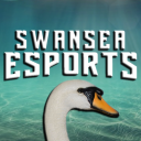 Discovery icon for Swansea Esports Discord server