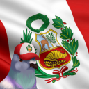 Discovery icon for 🕯︱Perú Discord server