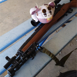 Discovery icon for Guns Girl Z JP - Foxgirl Discord server
