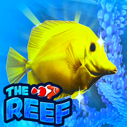 Discovery icon for 🐬Sea parrot🐬 Discord server