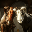 Discovery icon for Red Dead Redemption FR Discord server